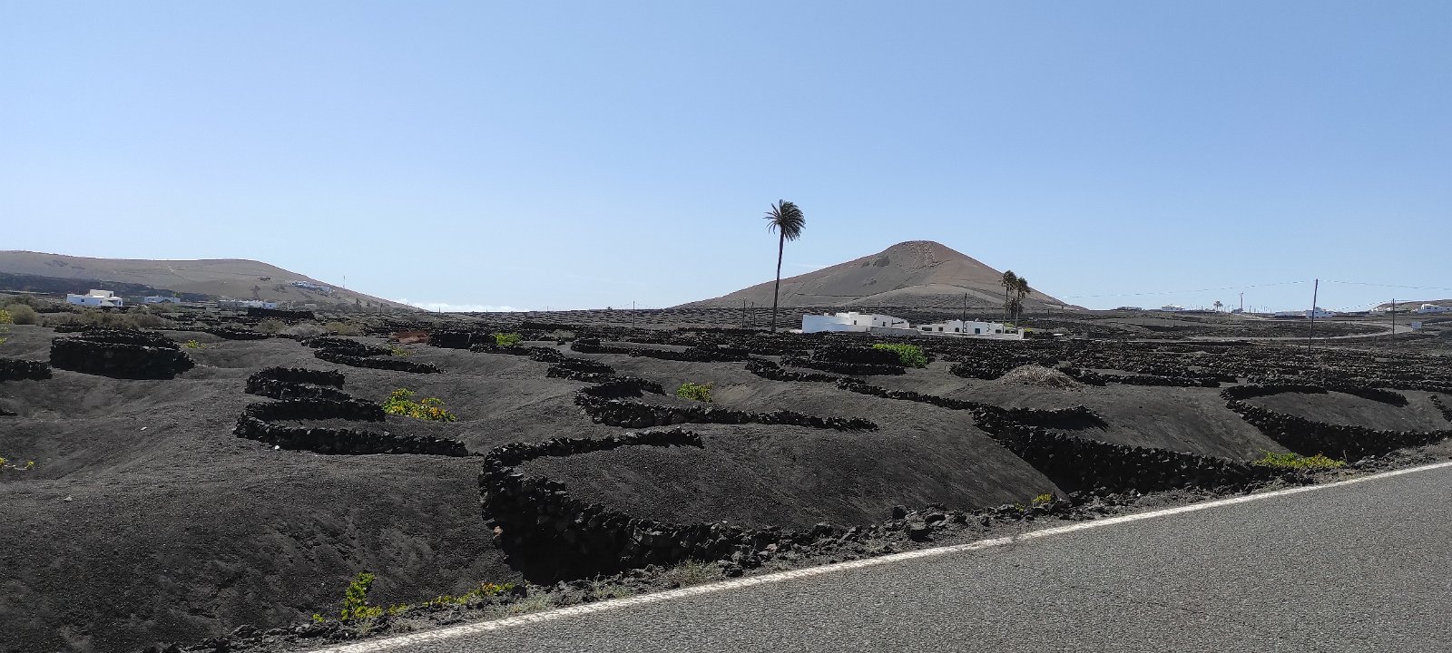 Lanzarote (106) 