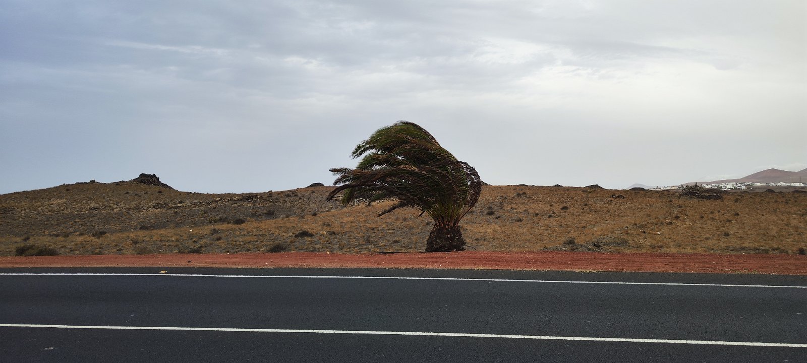 Lanzarote (139) 