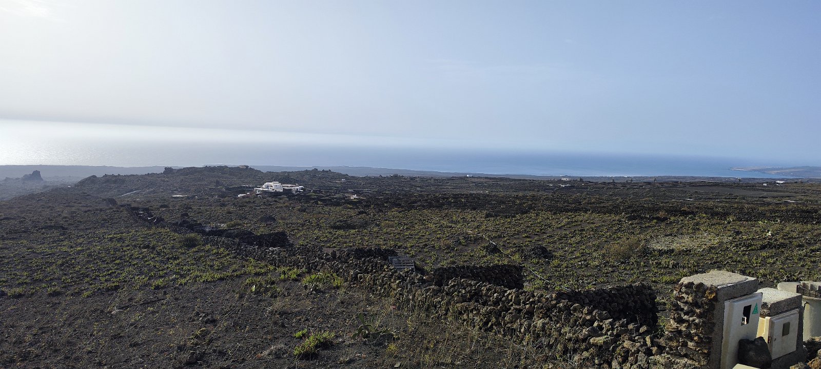 Lanzarote (170) 