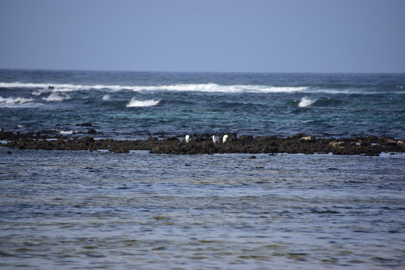 Lanzarote (49) 