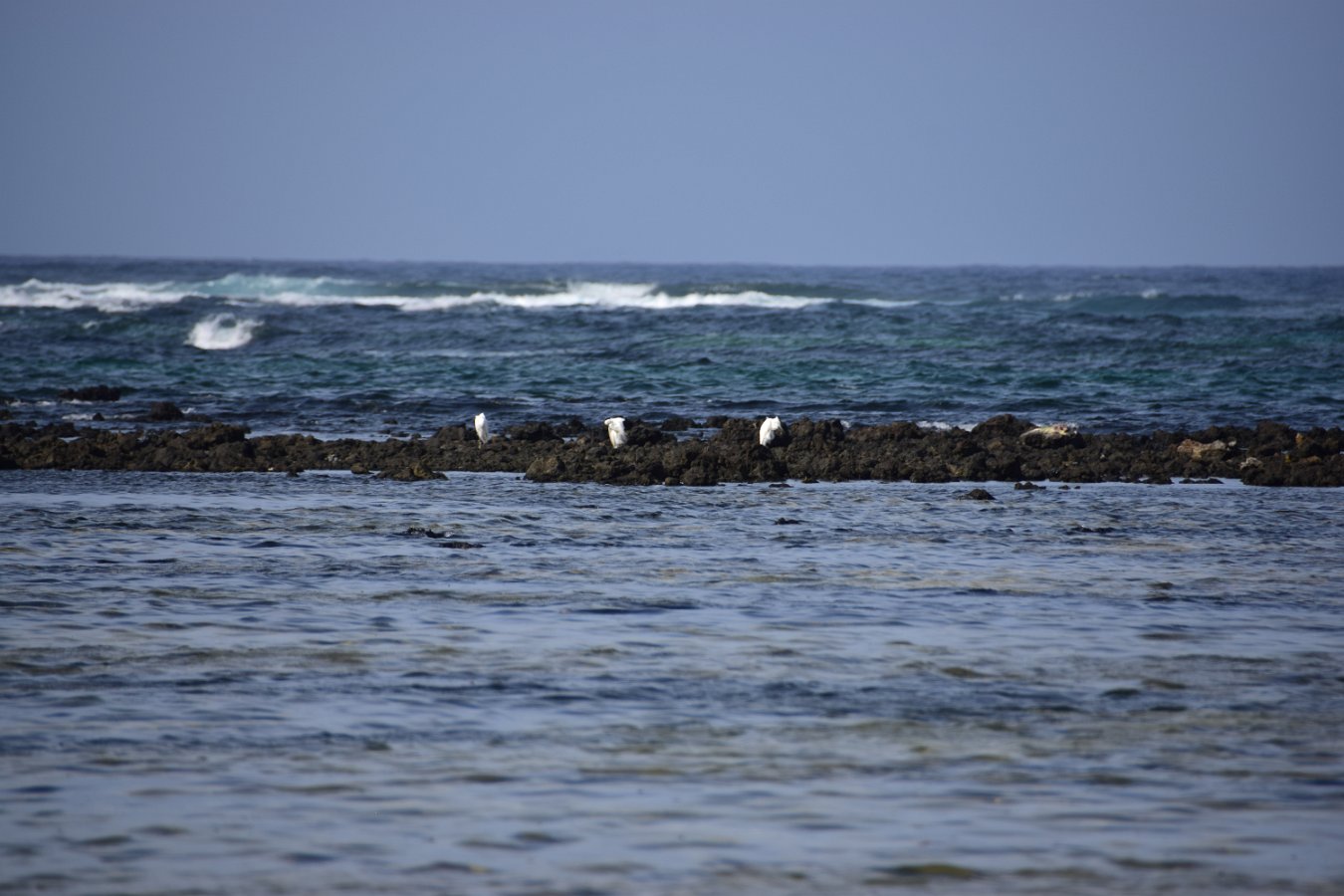 Lanzarote (50) 