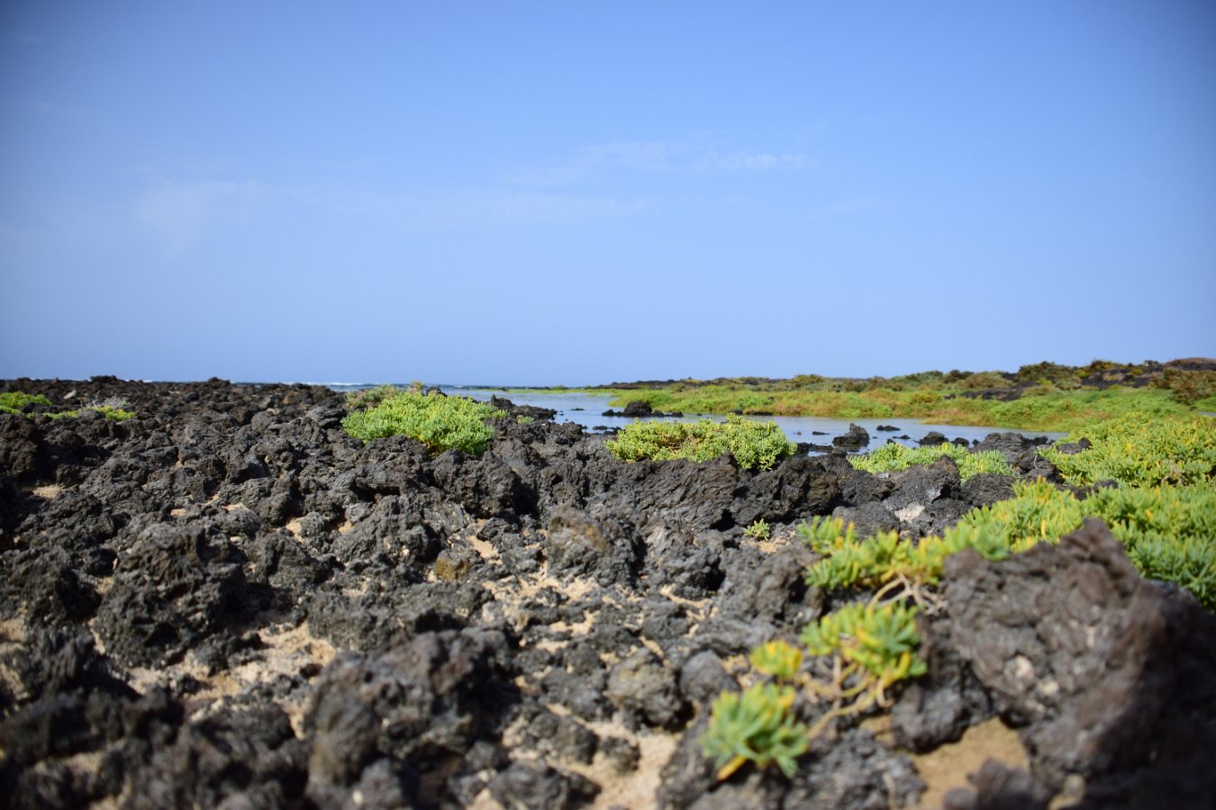 Lanzarote (52) 